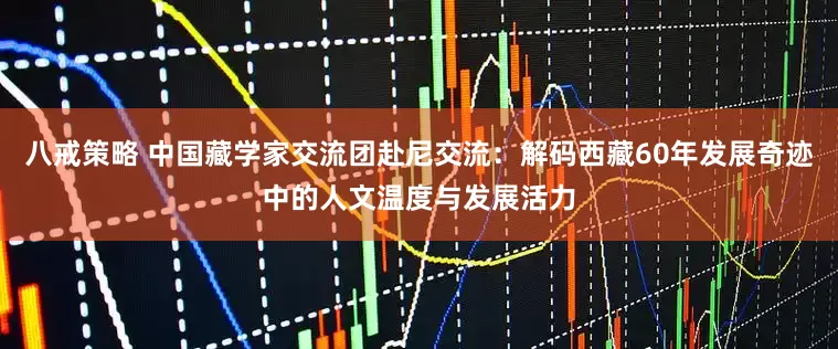 八戒策略 中国藏学家交流团赴尼交流：解码西藏60年发展奇迹中的人文温度与发展活力